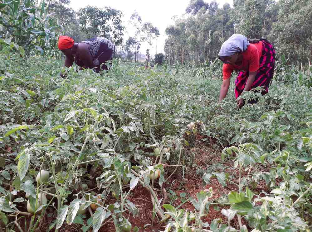 About Luteete Rural Community Initiative