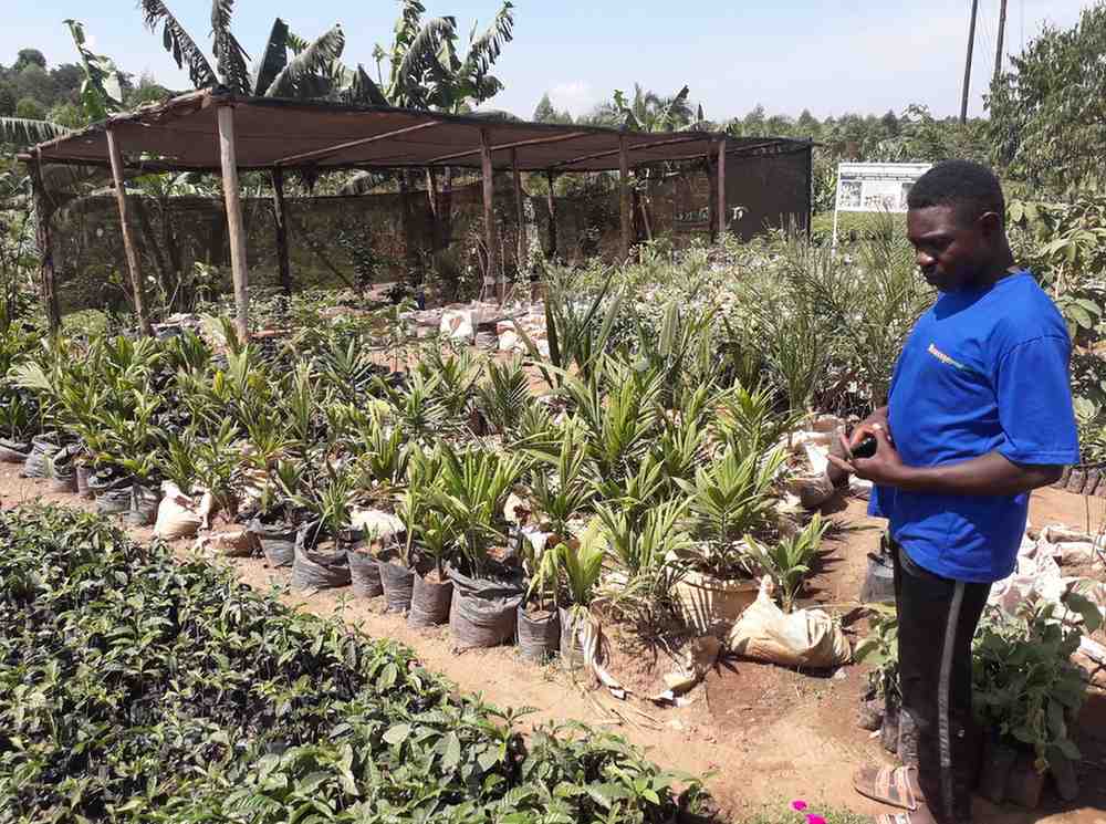 Sustainable farming in rural Uganda