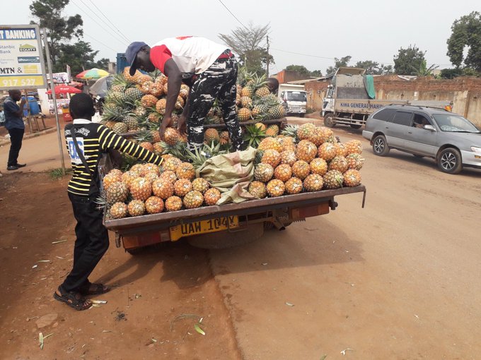 Farmers selling pineapples at farmers market